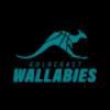 Wallabies Goldcoast