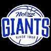 Nelson Giants