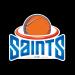 Wellington Saints